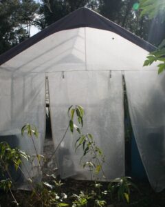 Simple, Low-Tech Trick That Keeps Your Greenhouse Warm (and Cool) Image